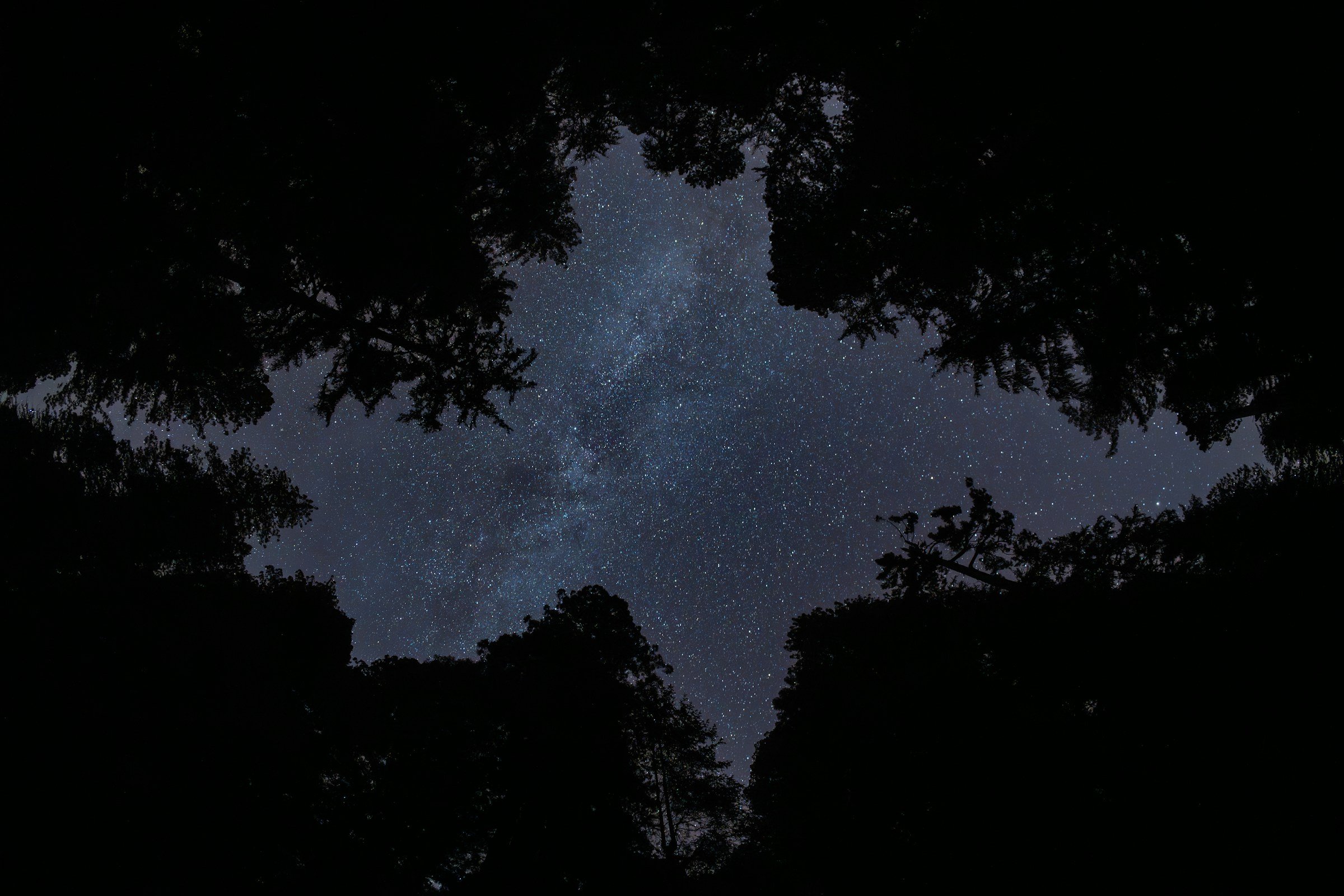 Starry night sky